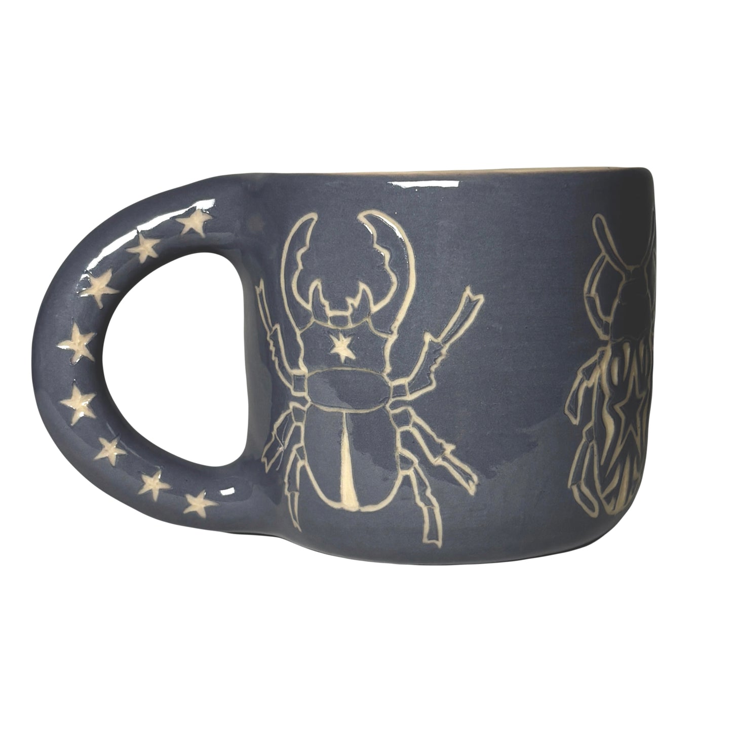 Starry Beetle Mug