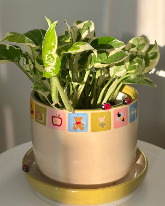 Ladybug Planter